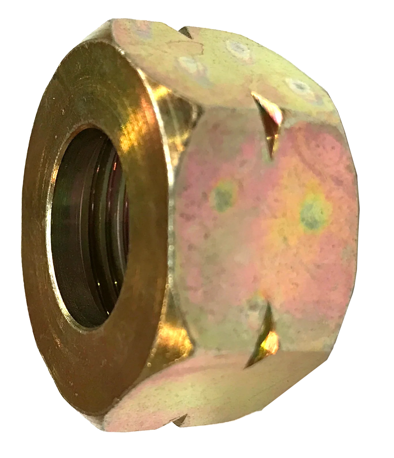 Wartelmoer Shell